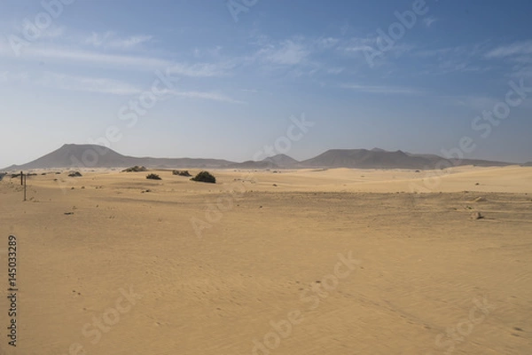 Obraz Yellow sand dunes and bright blue sky 