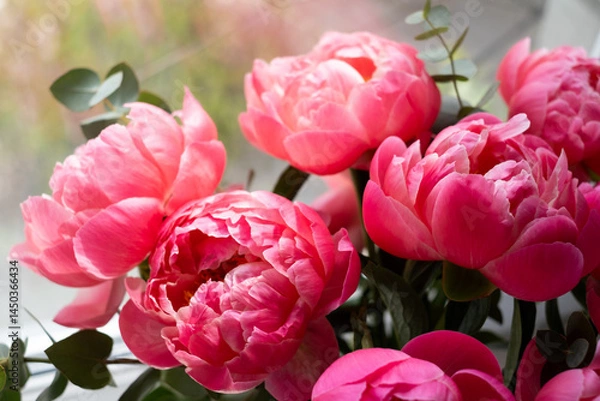 Fototapeta Bouquet of stylish peonies close-up. Pink peony flowers. Close-up of flower petals. Floral greeting card or wallpaper. Delicate abstract floral pastel background. Card Concept, copy space for text 
