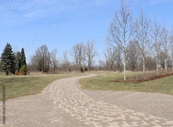 Obraz The empty pathway in the park on a sunny winter day.