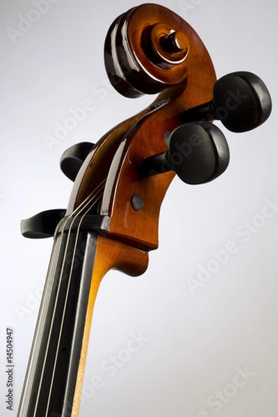 Obraz cello