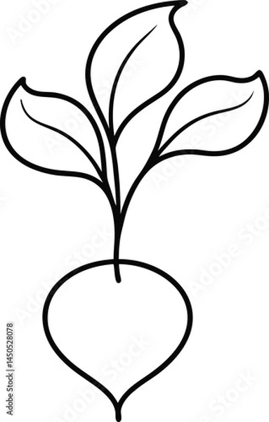 Fototapeta Minimalist beetroot illustration in continuous line art drawing style showing clean lines and natural form great for health food graphics or farm to table designs