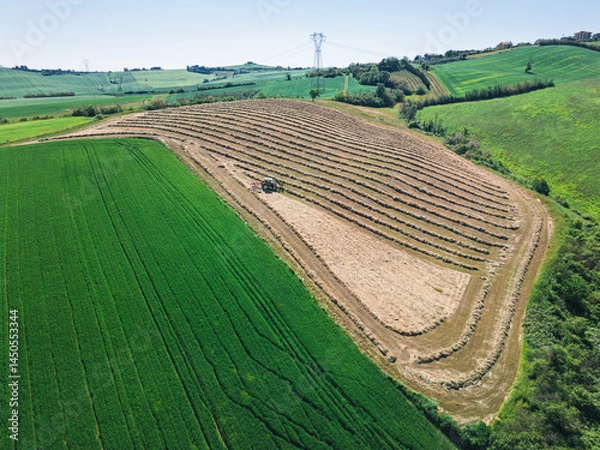 Fototapeta aerial view of cultivated fields with relaxing colors and geometries in the province of Rimini in Saludecio