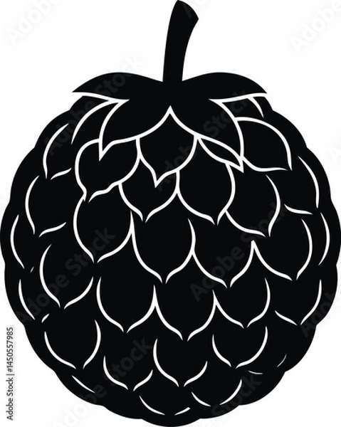 Fototapeta custard apple silhouette vector on white backgroun.eps