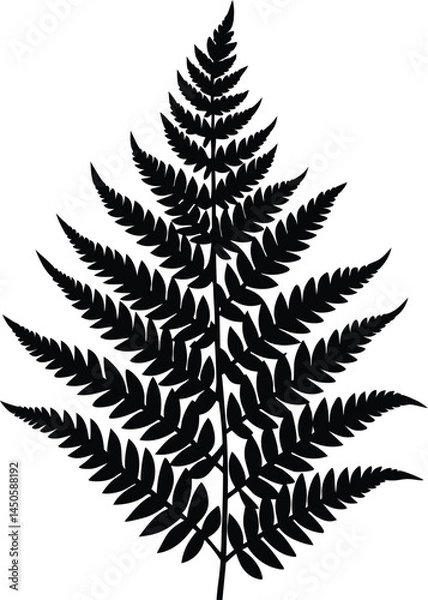 Obraz marsh fern silhouette vector on white background   