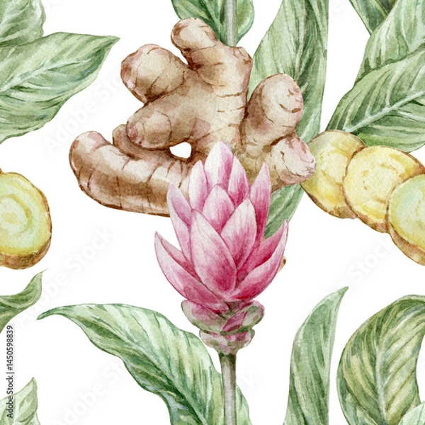 Fototapeta Seamless botanical watercolor pattern with ginger root leaves and red flowers on a white background