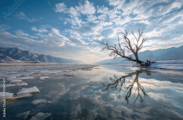 Fototapeta Dead tree stands alone in Songhua River with reflections under cloudy skies