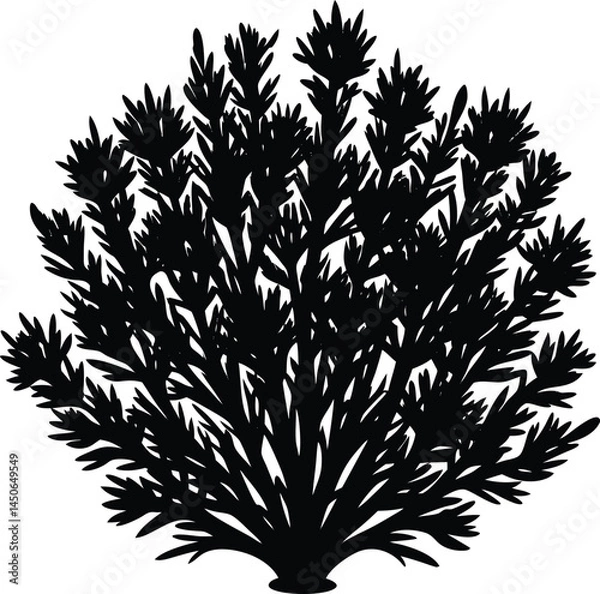 Obraz sagebrush silhouette vector on white background