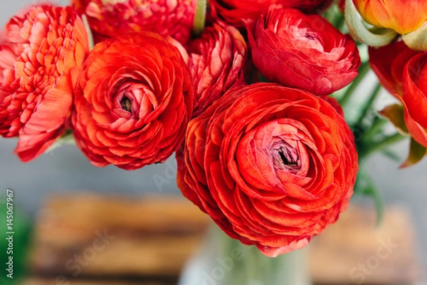 Obraz Bouquet of red ranunculus flowers on a rustic background. Close up