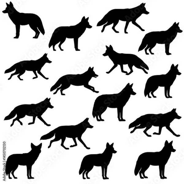 Fototapeta Coyote design vector