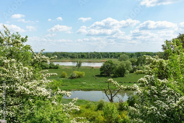 Obraz Wandern im idyllischen Oderbruch in Brandenburg, Deutschland im Frühling