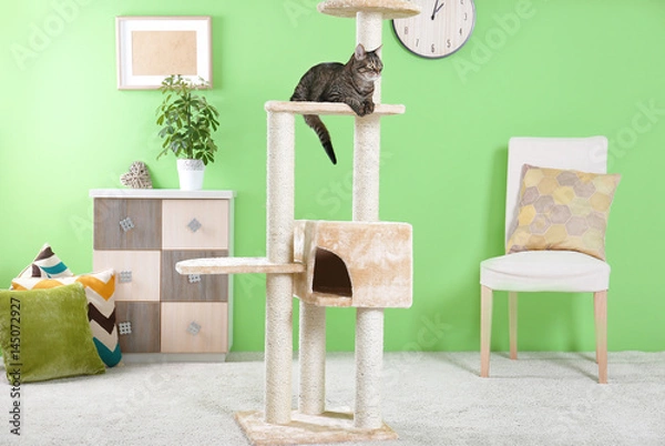 Fototapeta Cute cat sitting on tree in modern room