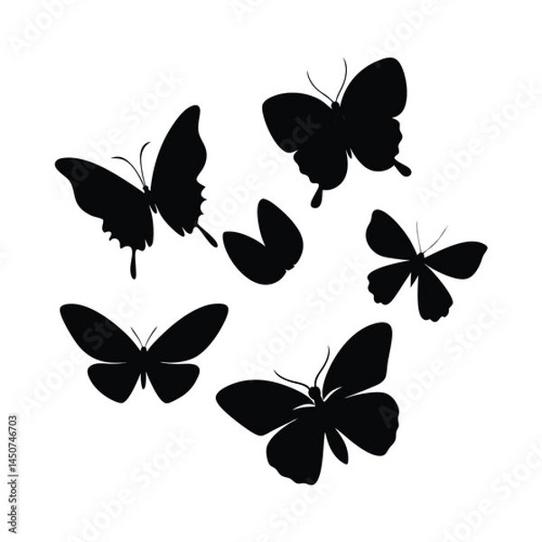 Obraz black flying butterflies vector silhouette illustration clean