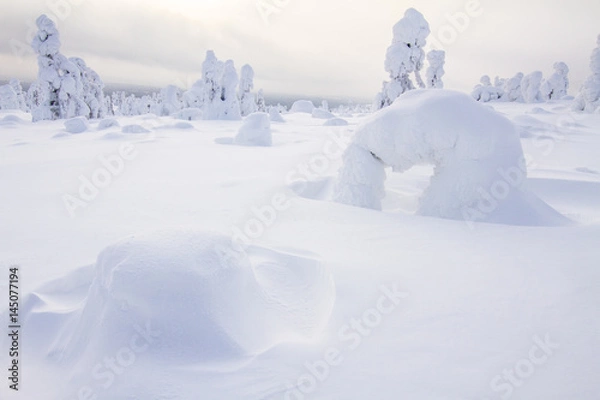 Obraz Winter in Lappland