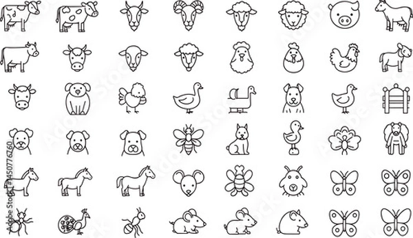 Fototapeta Farm animals line icon set. Vector pictograms of domestic goose, turkey, chick, duckling, duck, sheep, horse, pig, donkey, ox,