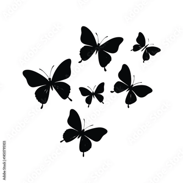 Obraz Clear and Bold Monarch Butterfly Vector
