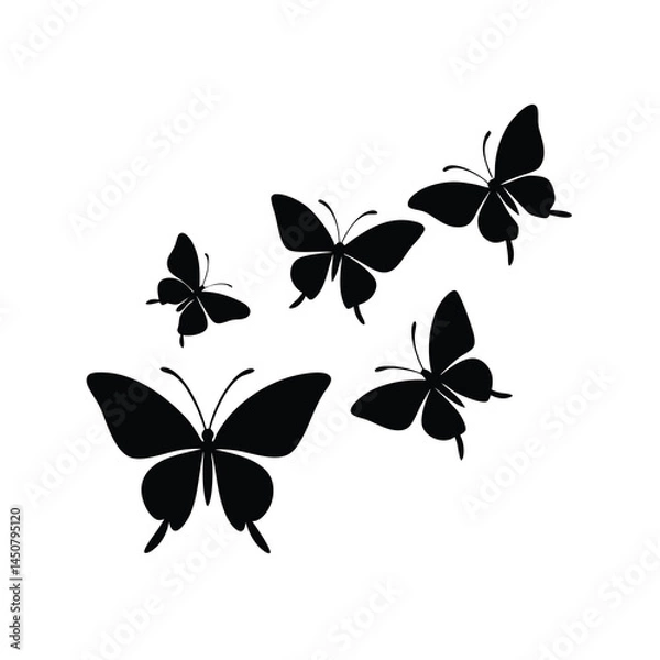 Obraz Graceful Butterfly Vector in Black Silhouette