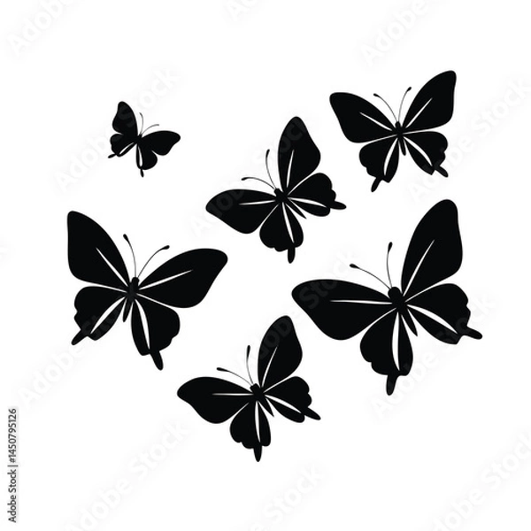 Obraz Flying Butterfly Silhouette Vector Art