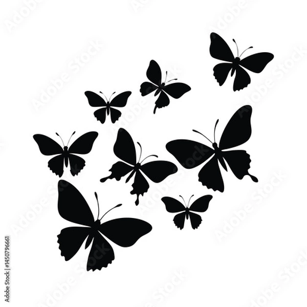 Obraz Graceful Flying Butterfly Silhouettes