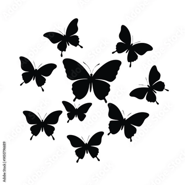 Obraz Butterfly Vector Collection in Silhouette