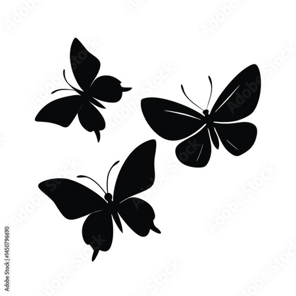Obraz Elegant Flying Butterflies Vector Silhouettes