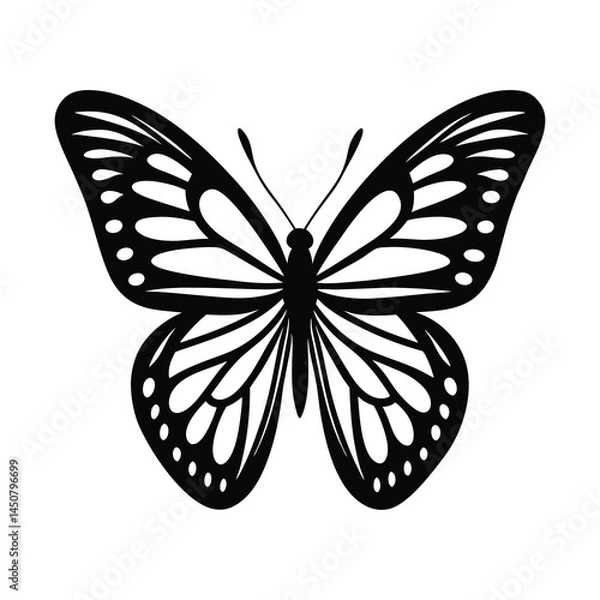 Obraz Vector Art of Flying Black Butterflies