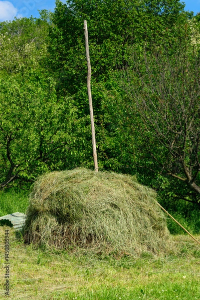 Obraz A haystack on a pole in Serbia