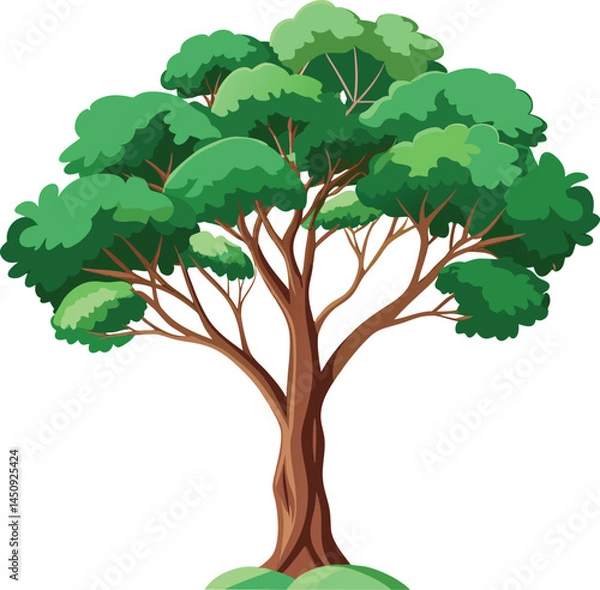 Obraz Eucalyptus tree