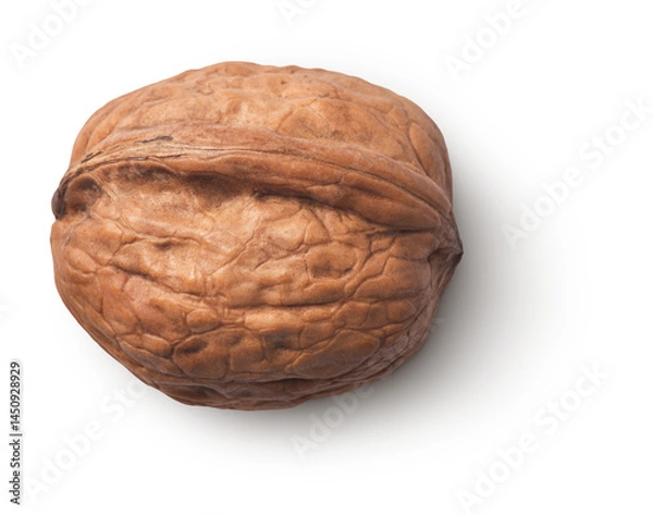 Fototapeta walnut with shadow isolated on transparent background