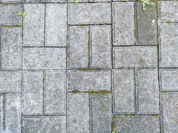 Fototapeta A textured pavement composed of interlocking grey rectangular paving stones. Sparse vegetation, including moss, occupies the interstitial spaces between the paving units, creating a patterned backdrop