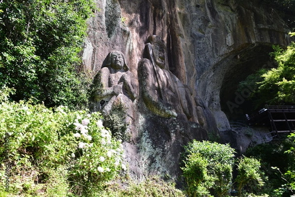 Obraz 普光寺のアジサイ