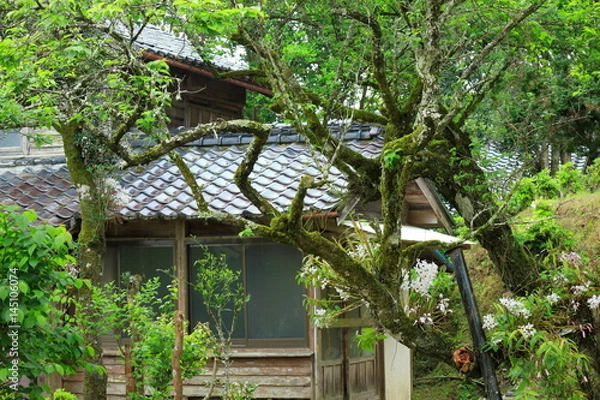 Obraz 新緑の空き家