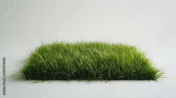 Fototapeta A close-up view of a rectangular patch of vibrant green grass.