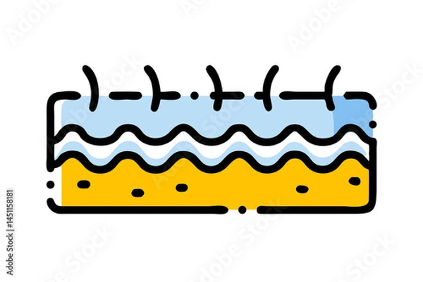 Fototapeta The Stratum Corneum: A detailed diagram of a cross-section through skin layers, highlighting the stratum corneum. This educational image offers insights into the epidermis.