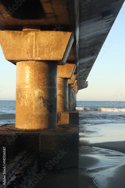 Obraz shark rock pier from below