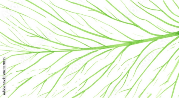 Fototapeta Close up of delicate green leaf veins on white background