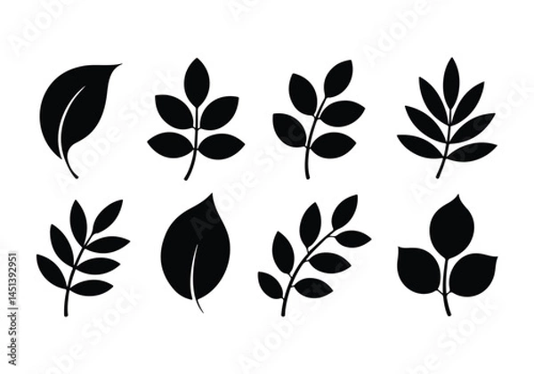 Fototapeta set of vector leaves