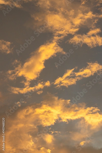 Fototapeta Golden Clouds at Sunset