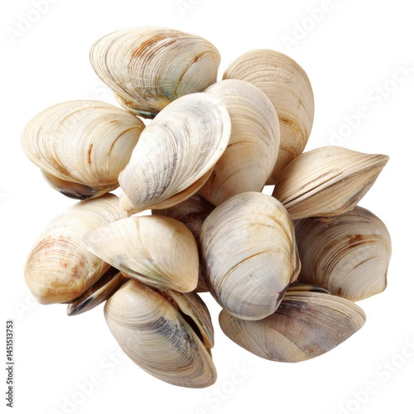 Fototapeta Pile of raw clams isolated on transparent png background
