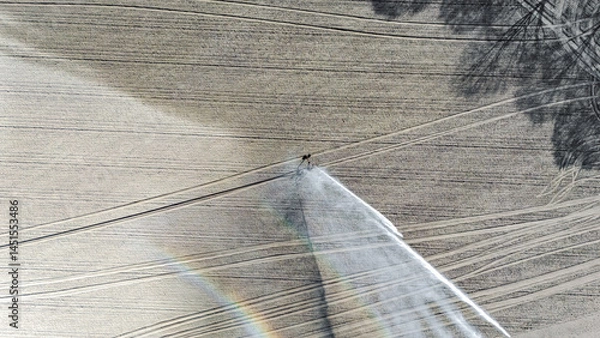 Fototapeta Aerial drone view of irrigation system, water jet rain guns sprinklers on field, rural scene landscape on sunny day, field background, agriculture in the Netherlands