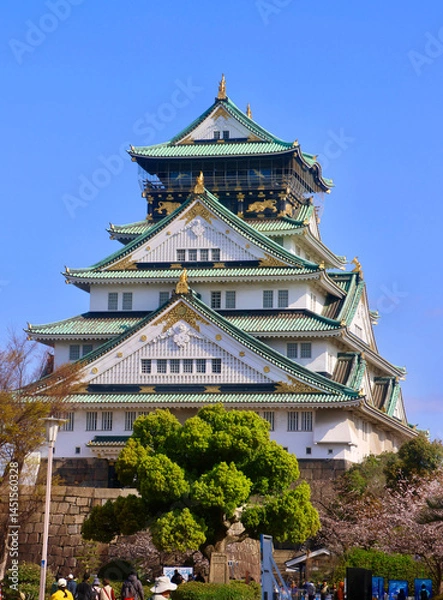 Fototapeta 大阪城・春（大阪府・大阪市）