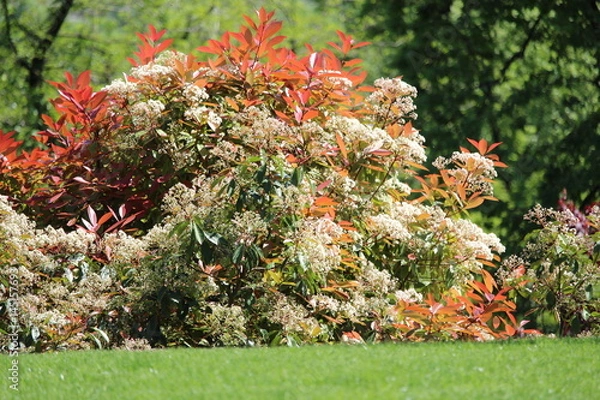 Obraz Rosso & Bianco