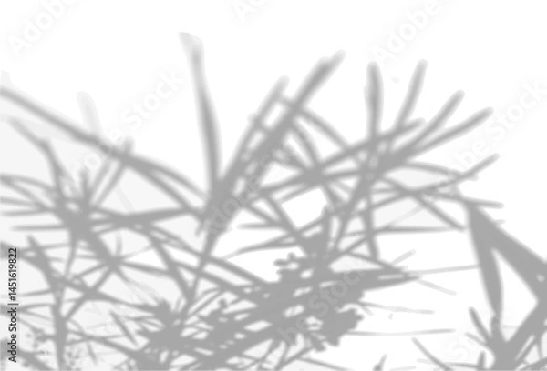 Fototapeta The shadow of the flower tops on the white wall. Black and white image to overlay on a photo or mockup