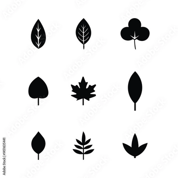 Fototapeta Black leaf icons set. Leaves icon on isolated background. Collection black leaf. Elements design for natural, eco, vegan, bio labels. Vector illustration EPS 10