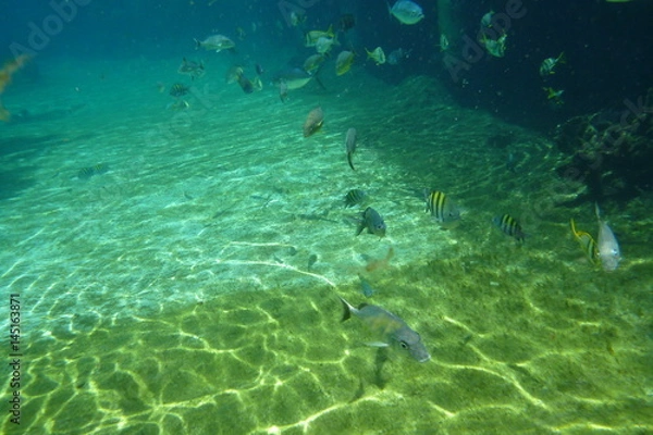 Fototapeta Underwater scene