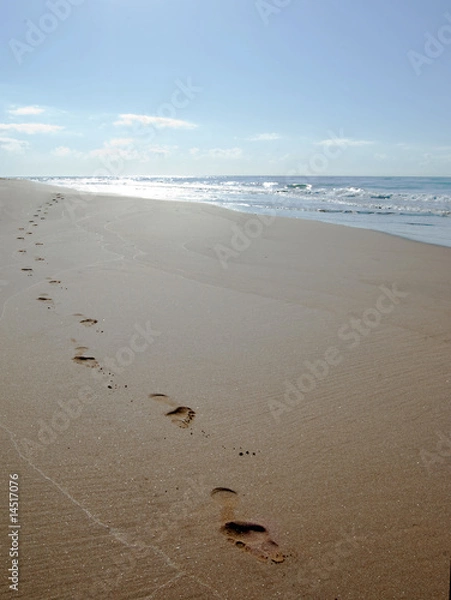 Fototapeta huellas