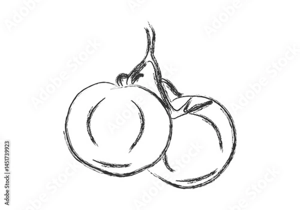 Fototapeta Dibujo de dos tomates hecho con trazo de pincel negro