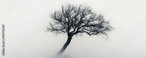 Fototapeta Silhouette of a Bare Tree in Foggy White Landscape Minimalist Black and White Scenery Featuring a Solitary Tree Trunk and Branches Emerging from a Thick Misty Background