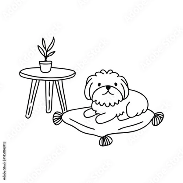 Fototapeta A Shih Tzu resting on a cushion beside a coffee table