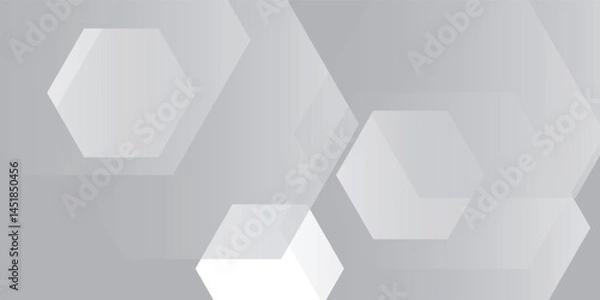 Obraz Abstract white geometric hexagon background vector illustration eps10