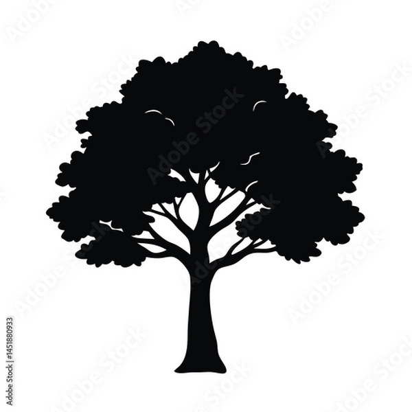 Obraz detailed big tree silhouette vector dynamic shape